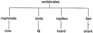 classification-verterbrates.png