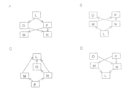 foodweb.jpg