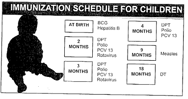 immunisation-schedule.png