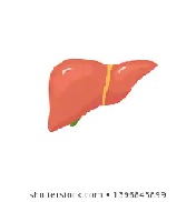 liver...jpg