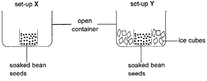 soakedbeans-diagram.png