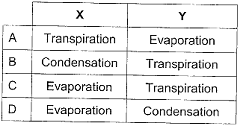 water-cycle-answers.png